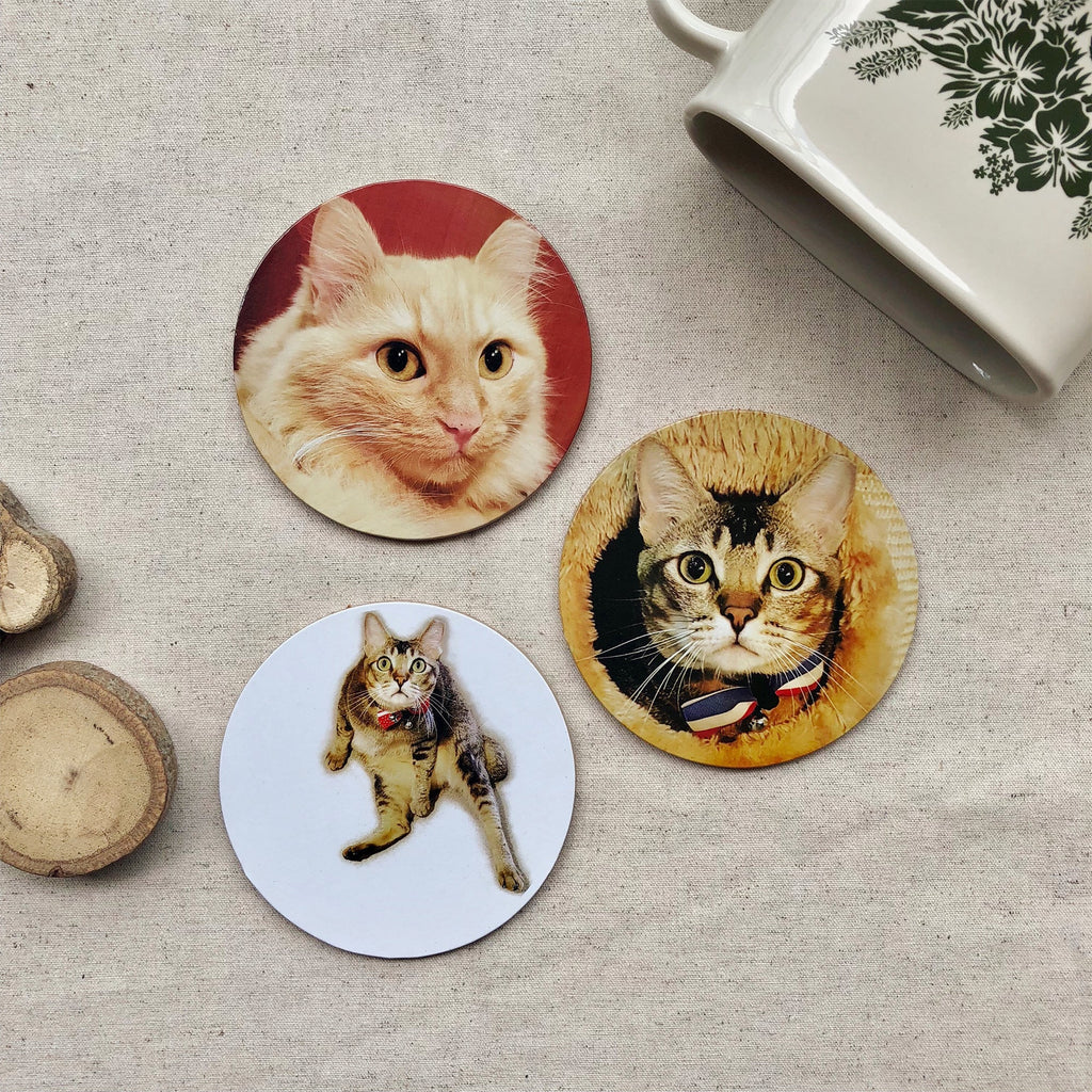 Sous-verres Chats de magasin