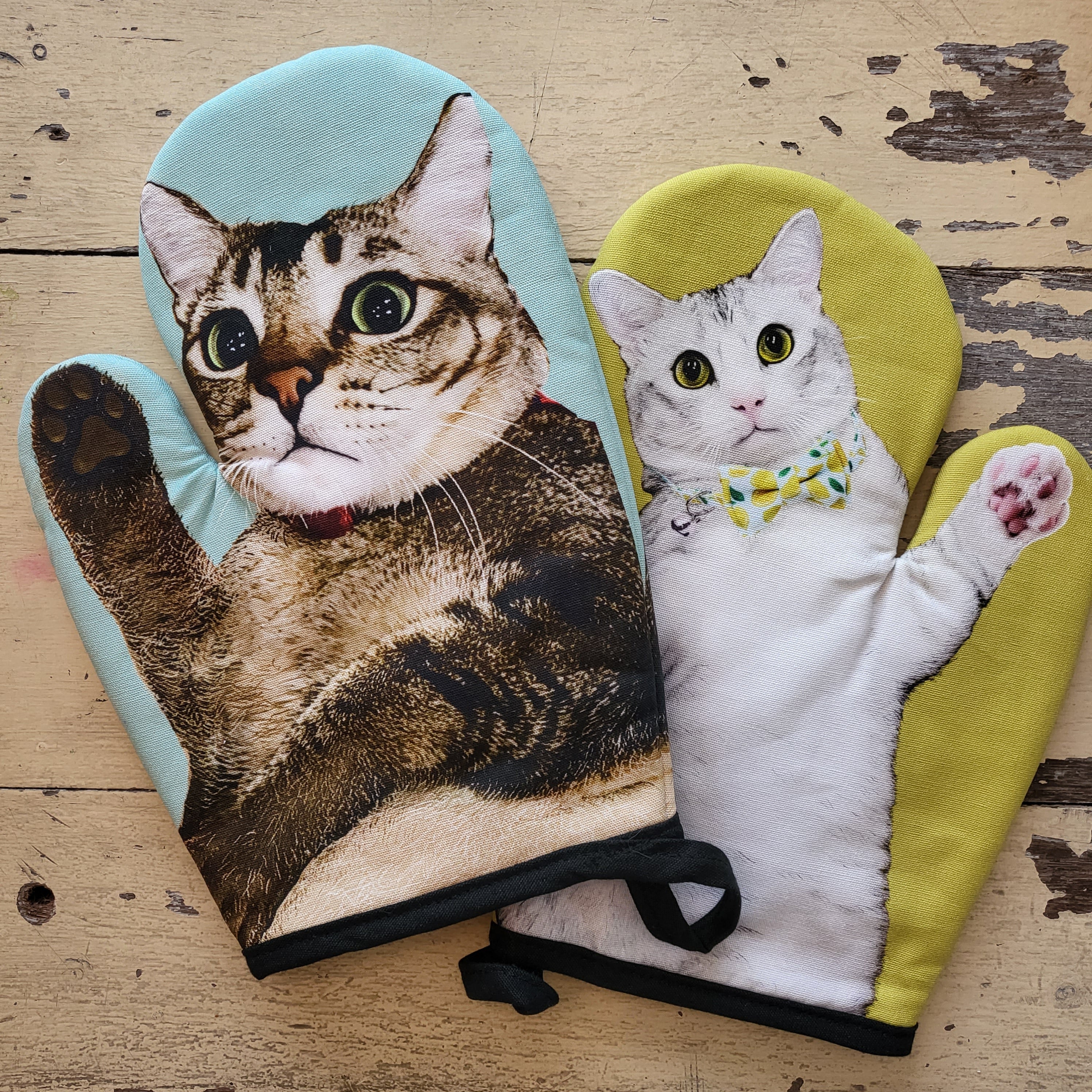 Manique Chats de boutique