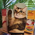 Manique Chats de boutique