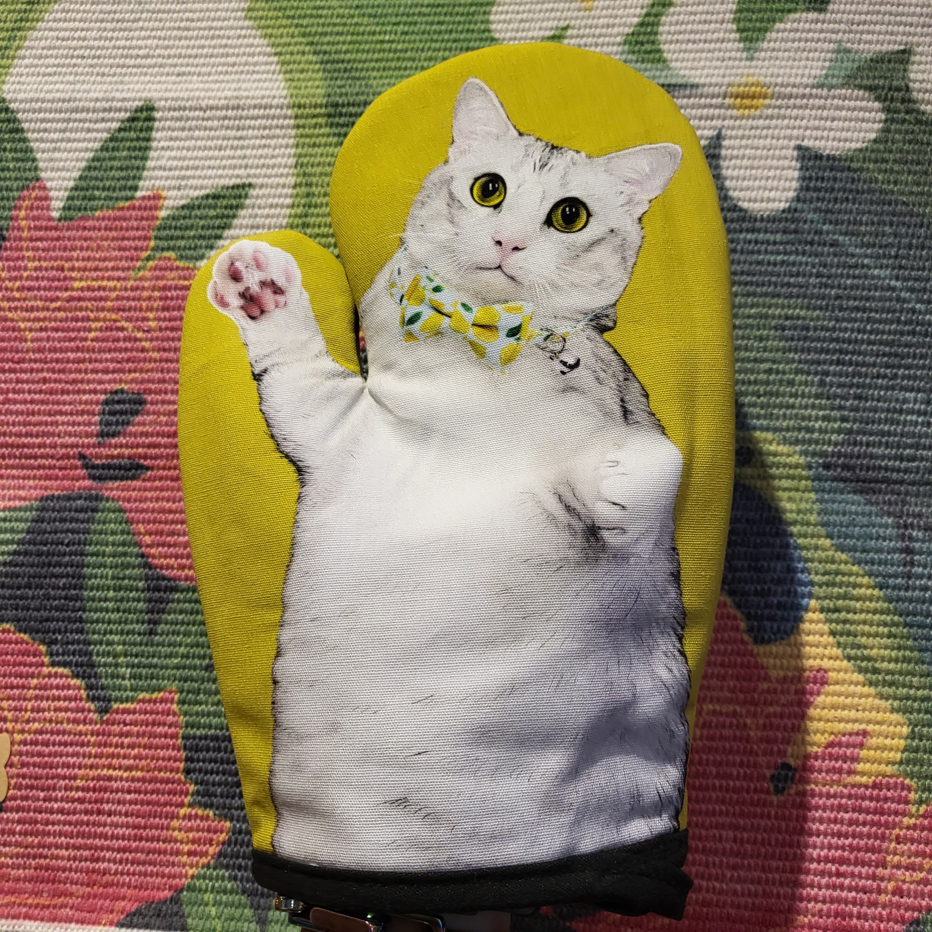 Manique Chats de boutique