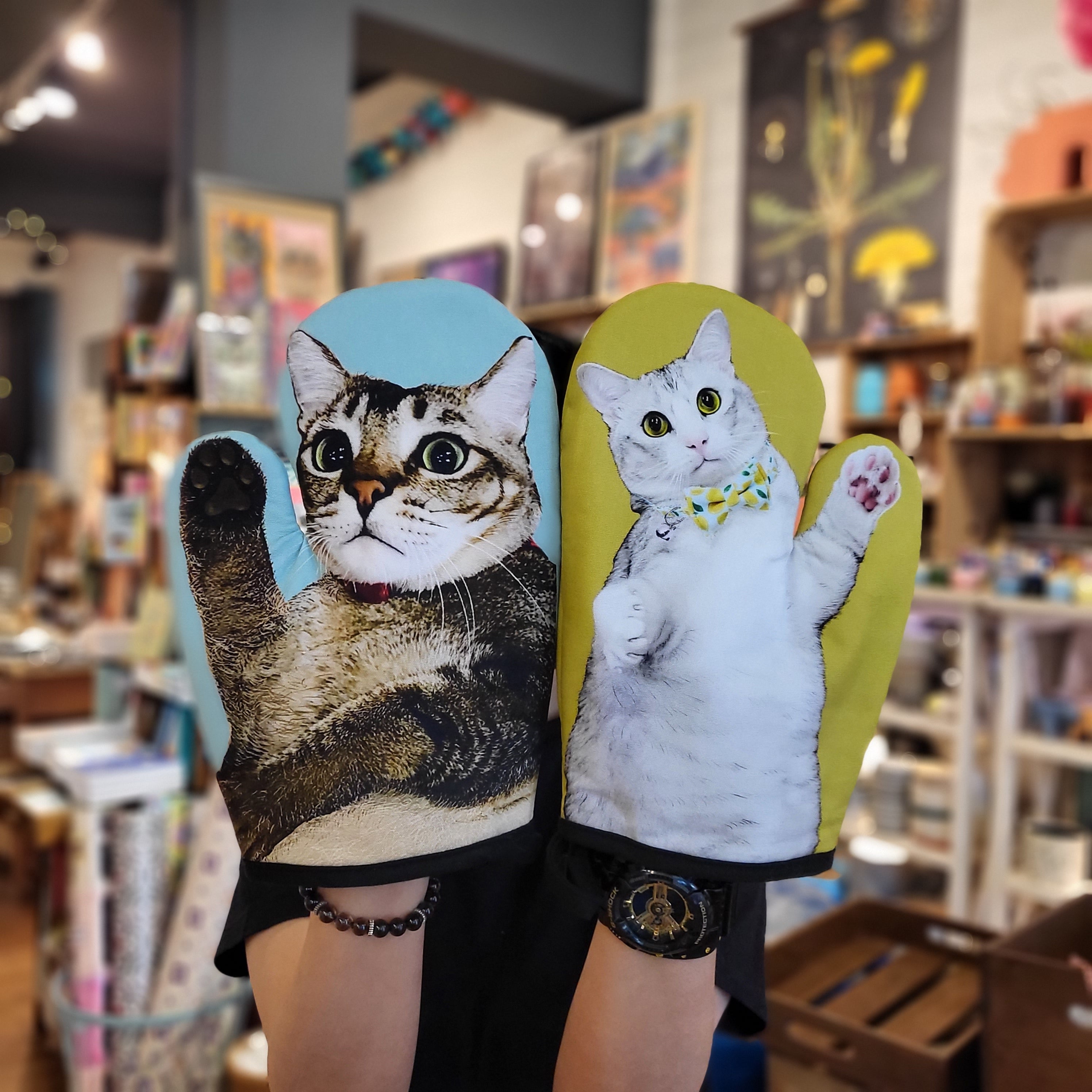 Manique Chats de boutique