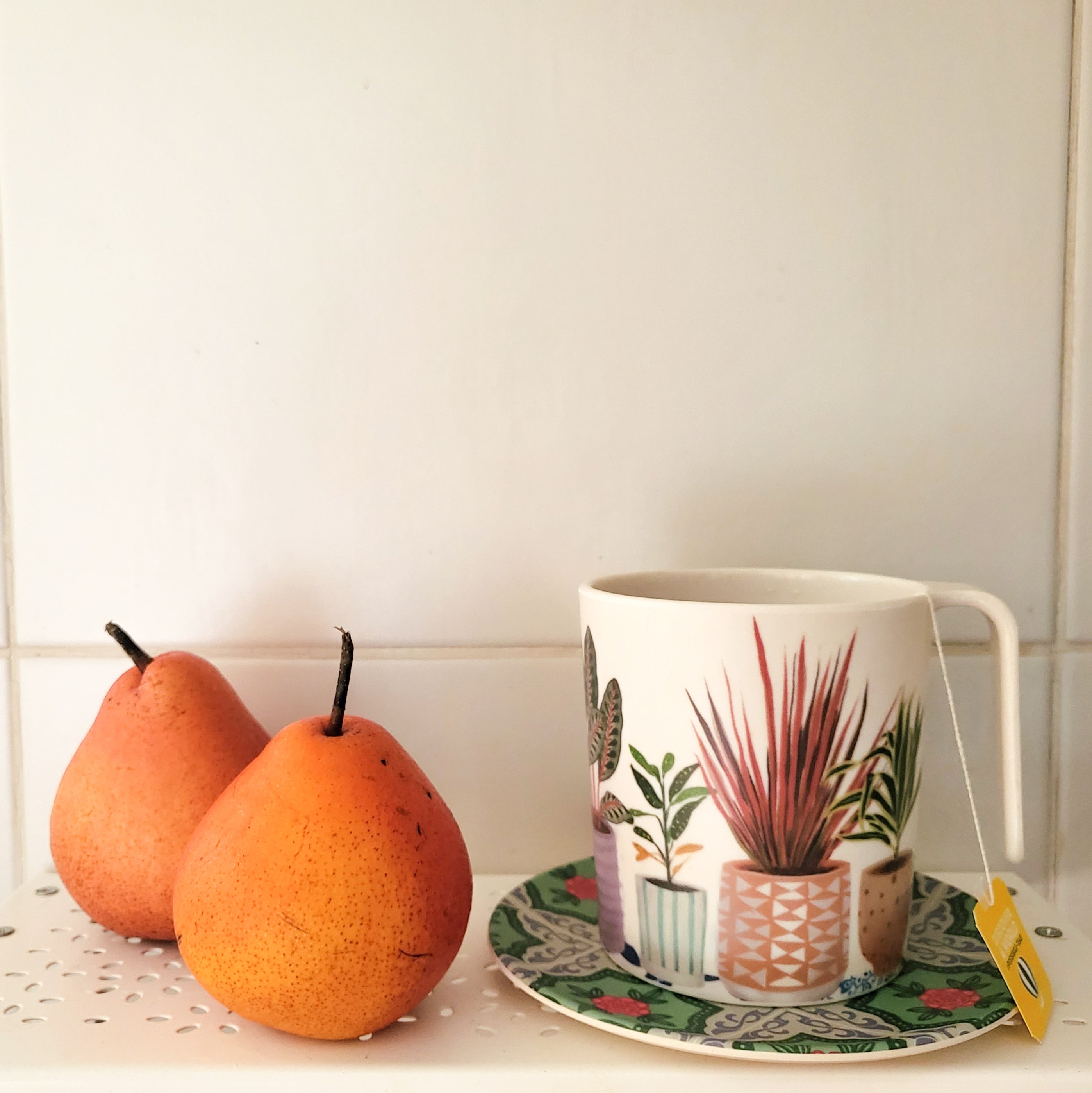 Mug en bambou plantes d'intérieur