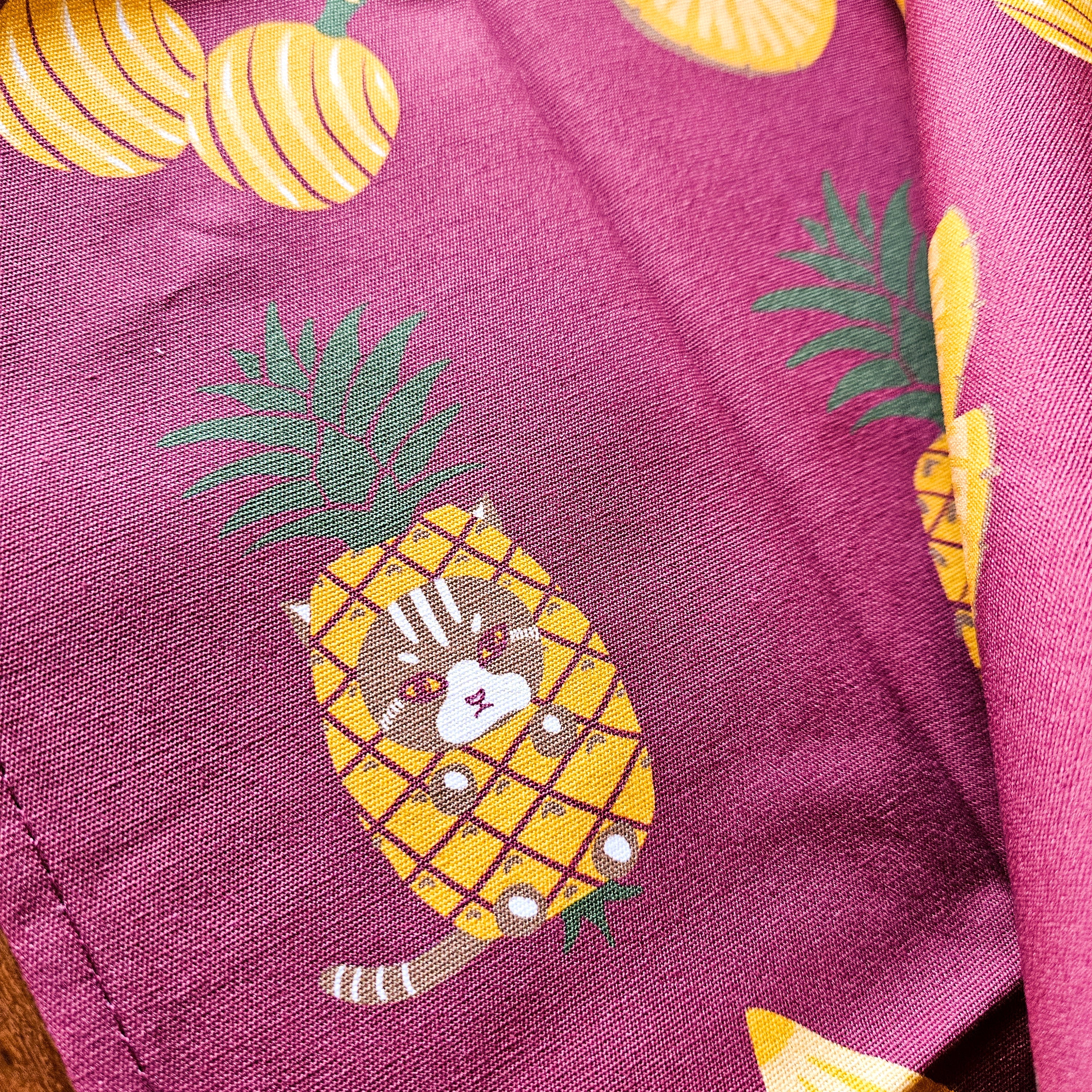 Torchons de cuisine Singapour Fruits - Ananas