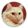 Sous-verres Chats de magasin
