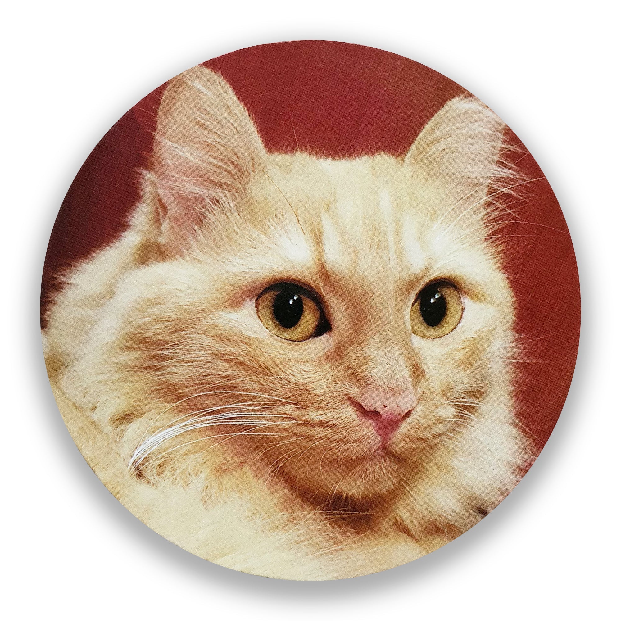 Sous-verres Chats de magasin
