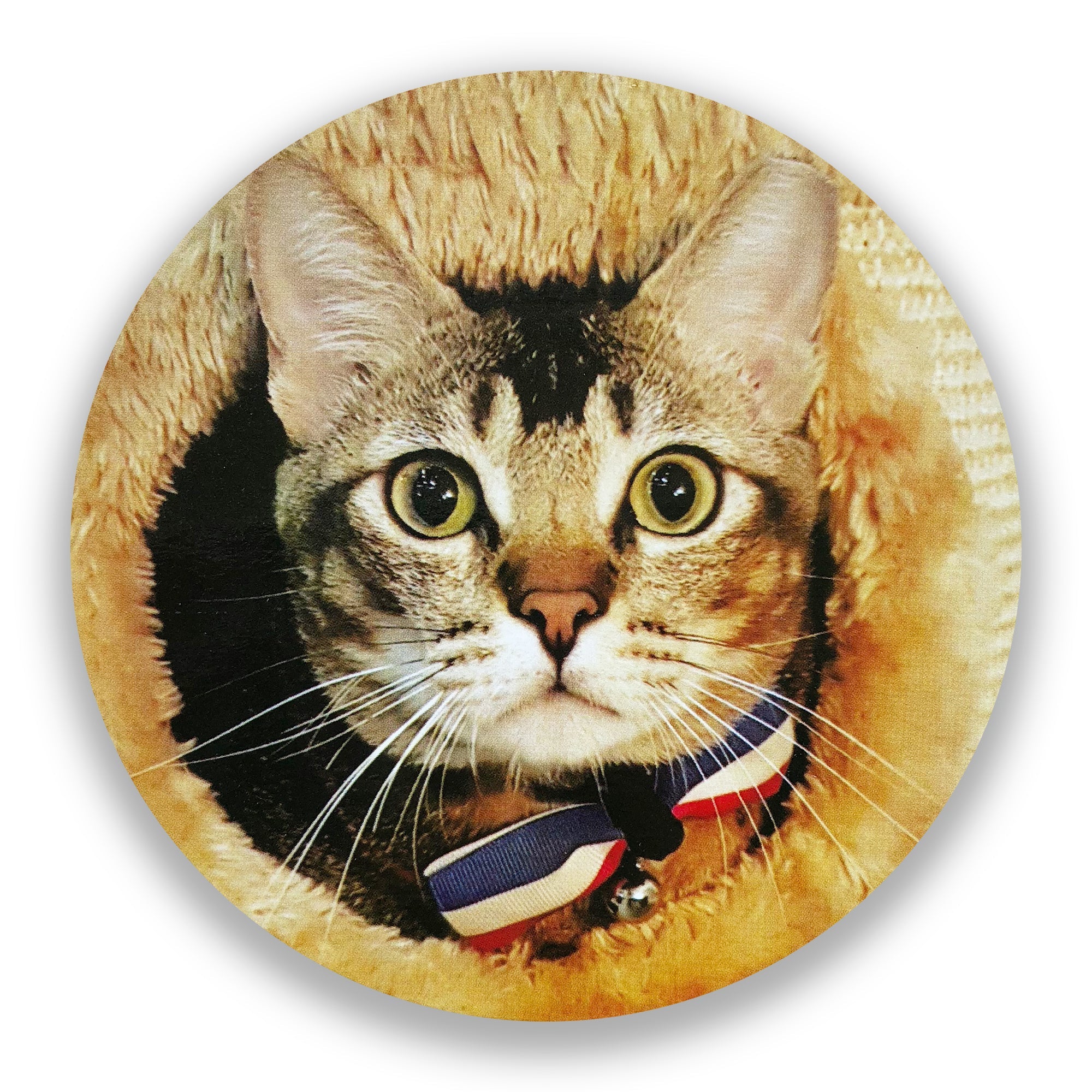 Sous-verres Chats de magasin