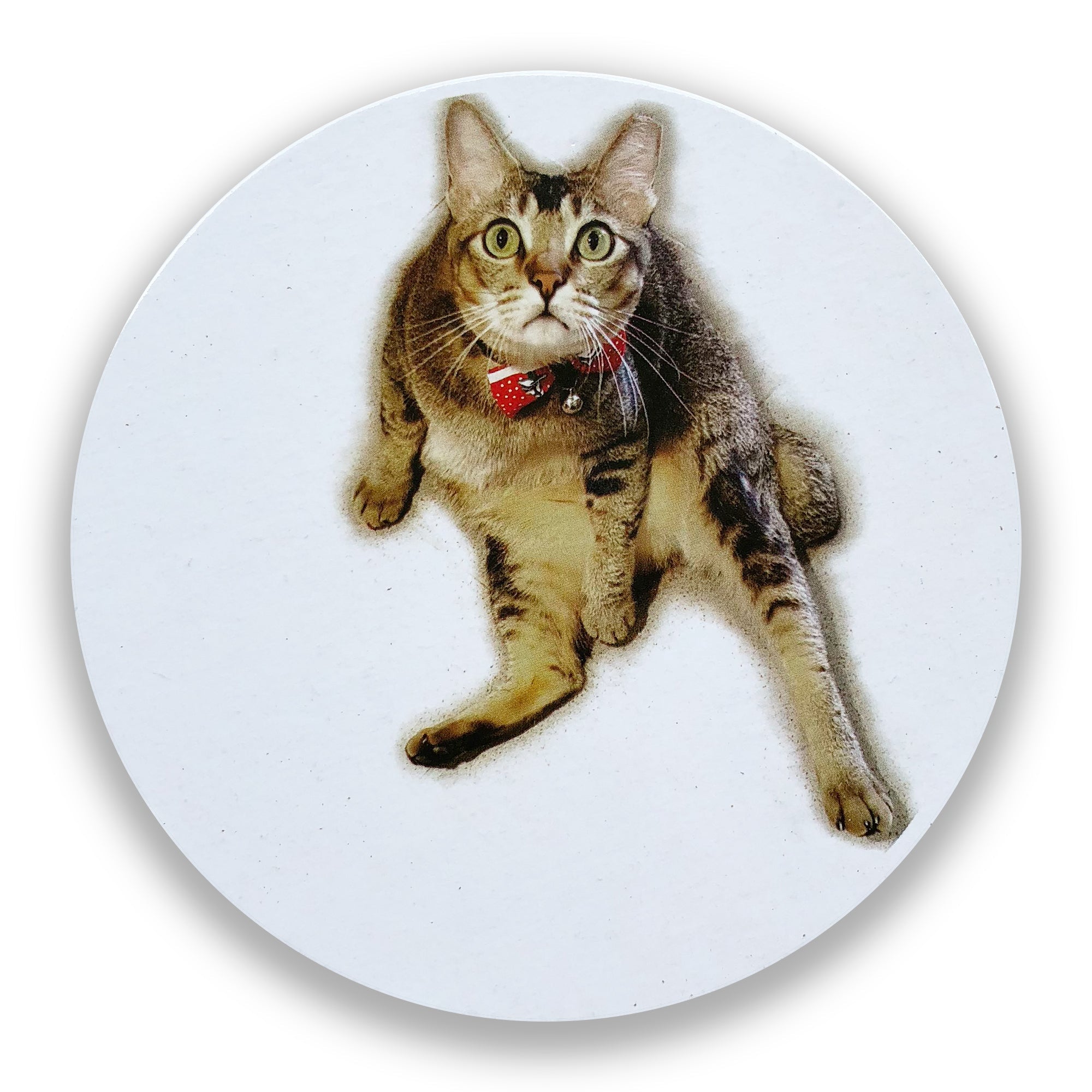 Sous-verres Chats de magasin